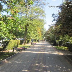 /images/photos/medium/9b4ea982c8bd41de92bb39309ee6d7b0.jpg